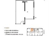 碧桂园凤凰壹品_77㎡雅境户型 建面77平米